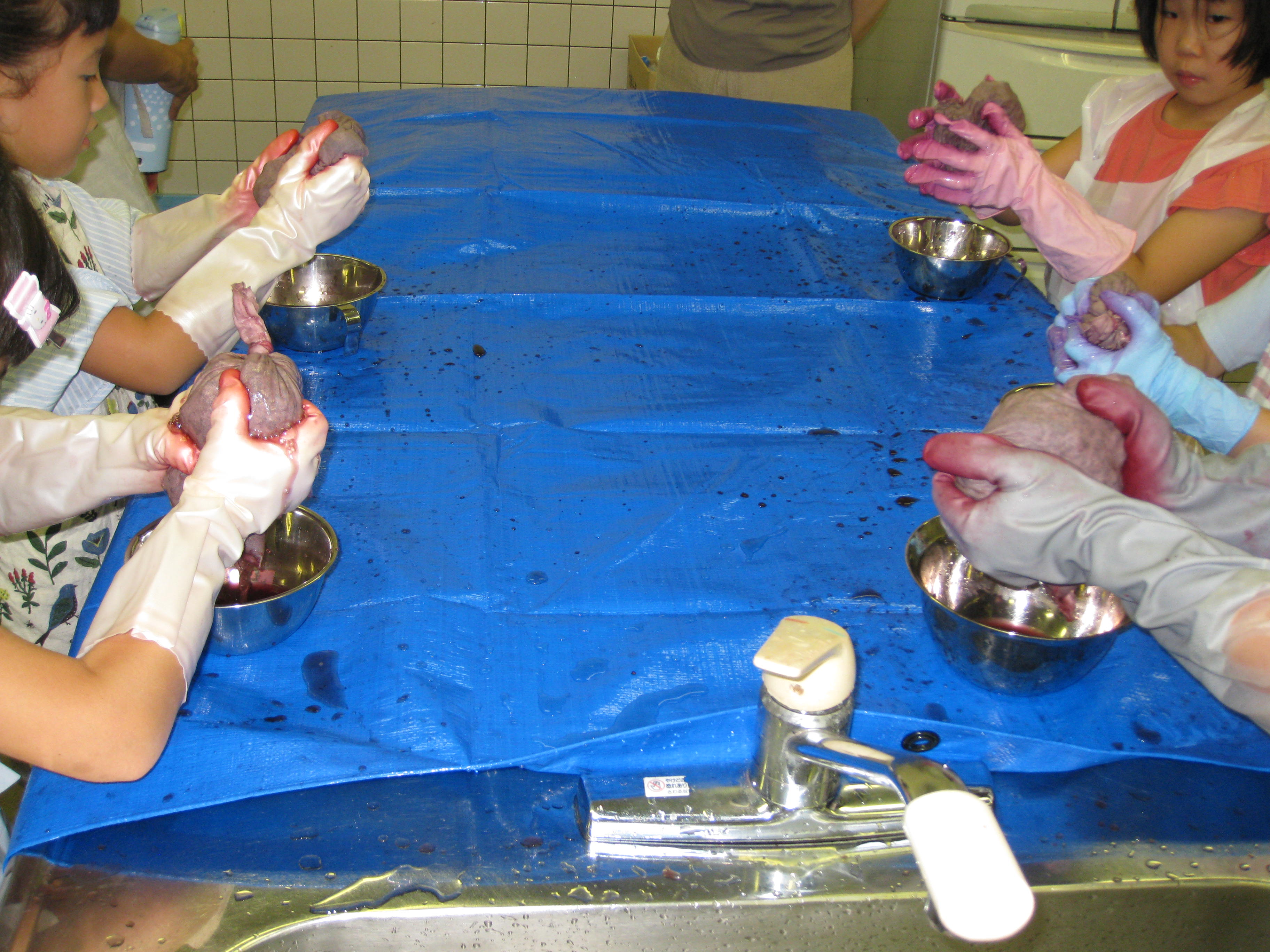 Dye Extraction