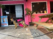 ナイトマーケットのアイスクリーム店での光景