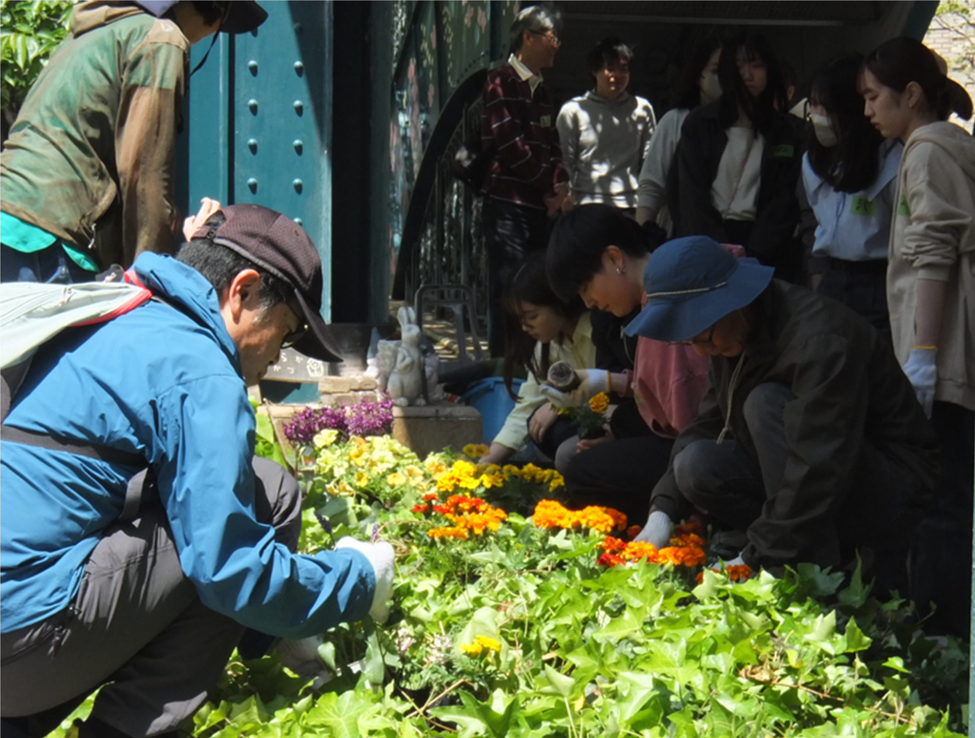 Creating a flower-filled town using compost made from household food waste