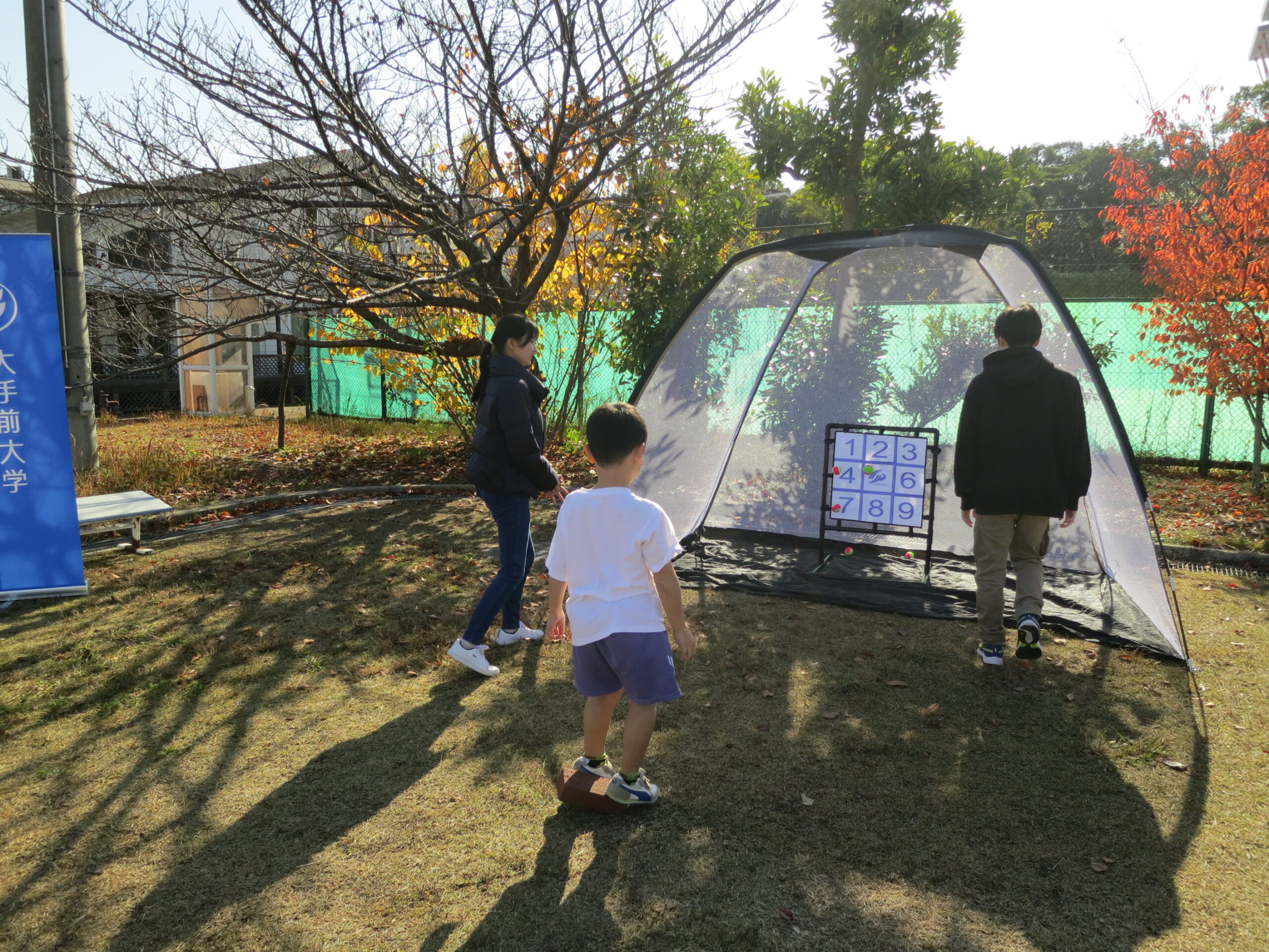 Mini-game (Struckout)