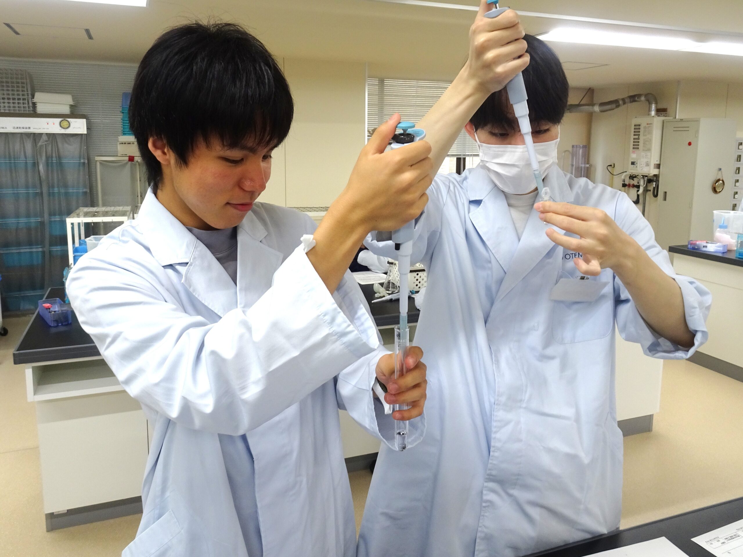 We are carefully separating the components of the egg white while checking the procedure.